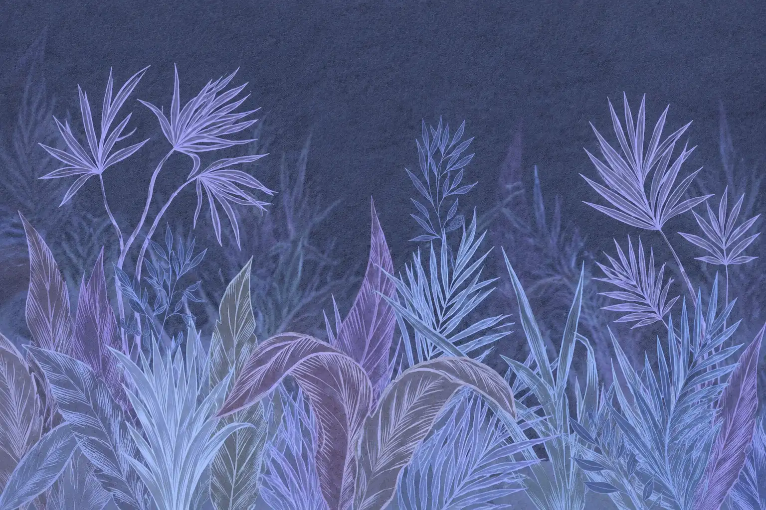Illustrations tropicales élégantes